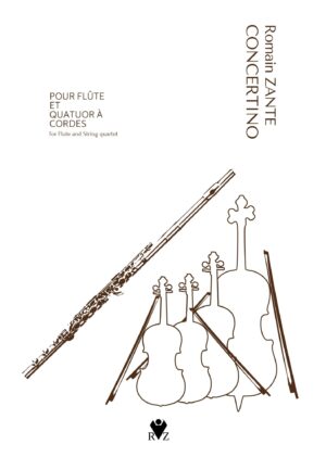 Flute Concertino